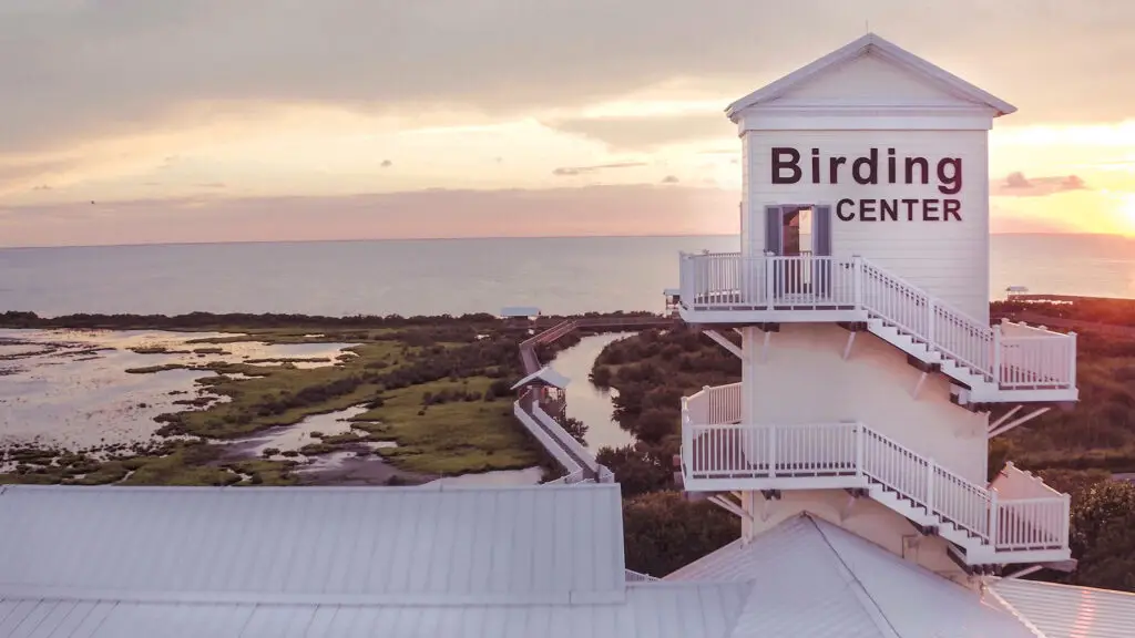 The Birding Center tower above the bayfront marsh at sunset
